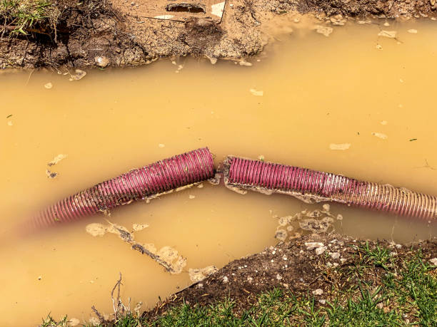 Best Residential water damage restoration  in Braddock, PA
