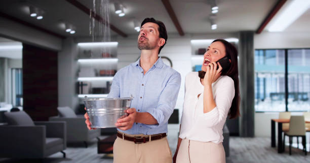 Best Commercial water damage restoration  in Braddock, PA