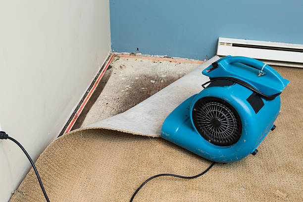 Best Sewage cleanup and water damage restoration  in Braddock, PA
